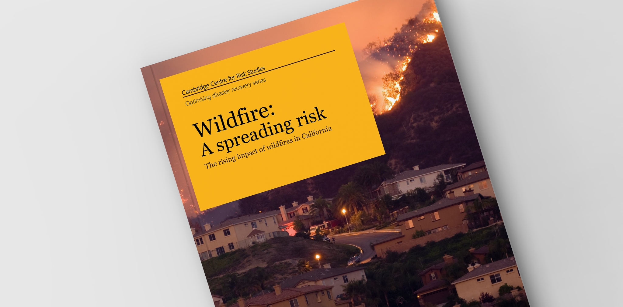 Cambridge Taxonomy of Climate Transition Risks 2025 Report Cover
